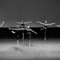 149-img_8864