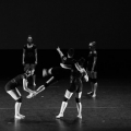 224-img_9003