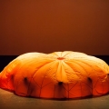 241-img_9027