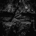 020-22122017_img_0960-modifier