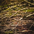 014-14012018_img_1041