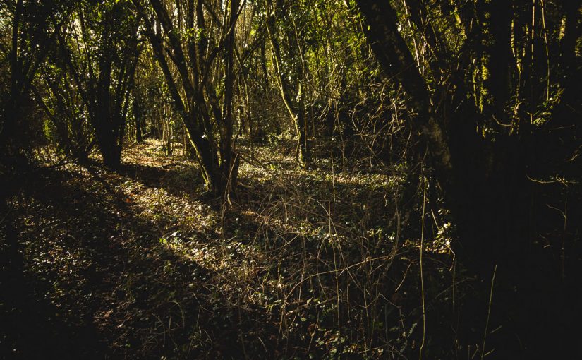 Le sentier des lutins