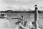 13-06082022 IMG 3994