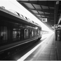 1-PLR-18052024  Z9A7164