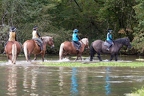 Des cavalières sur La Touvre